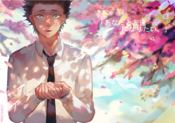 Post 8721750