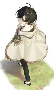Post 10695537