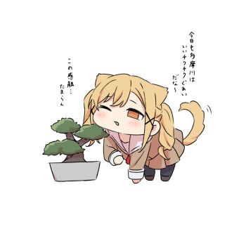 Post 14885511
