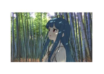 Post 15008644