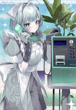 Post 14078267
