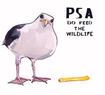Post 13325912