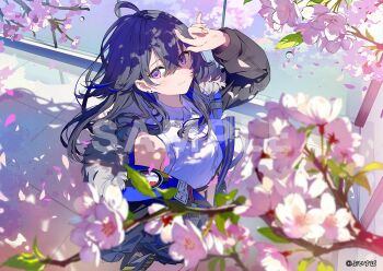 Post 14483437
