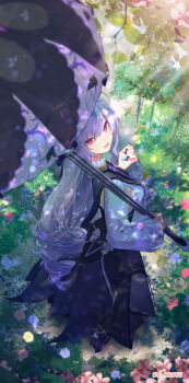 Post 11896582