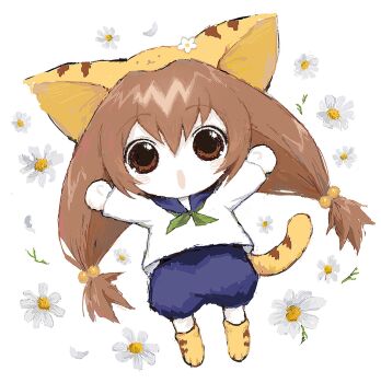 Post 8557115