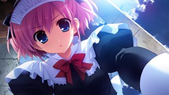 Post 12008707