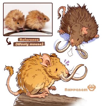 Post 13729606