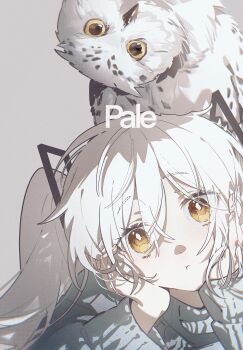 Post 15033790