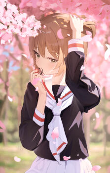 Post 14617618