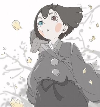 Post 8706941