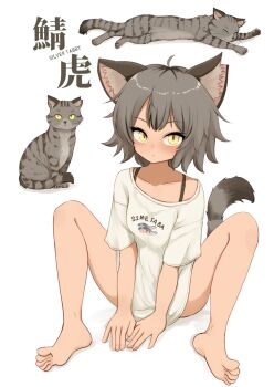 Post 12437149