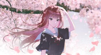 Post 14346606