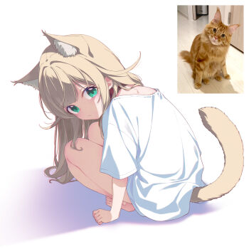Post 14354710
