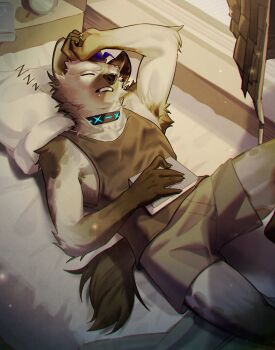 Post 14972471