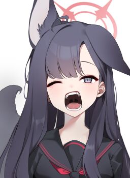 Post 10436304