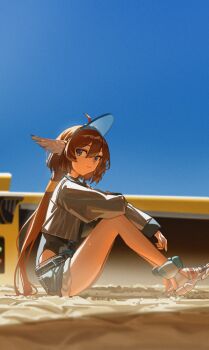 Post 12459746