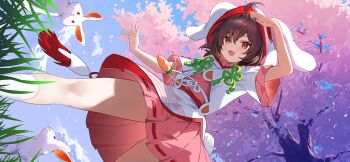 Post 11884324