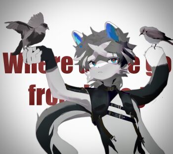 Post 13421866