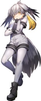 Post 11369027