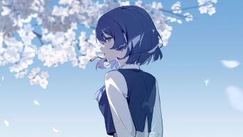 Post 14531831