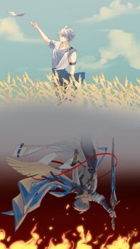 Post 13003386