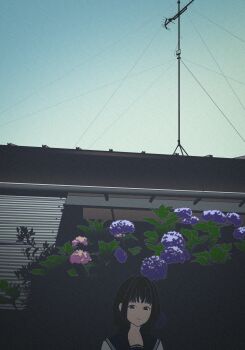 Post 10423548