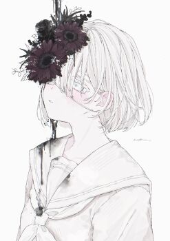 Post 13864719