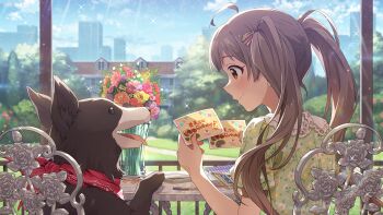 Post 13127401