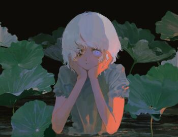 Post 7199015