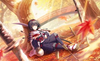 Post 14351109