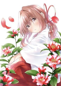 Post 12530646