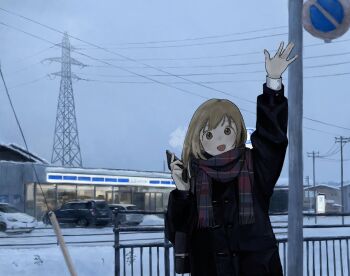 Post 13129501