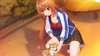 Post 6709104