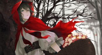 Post 14187109