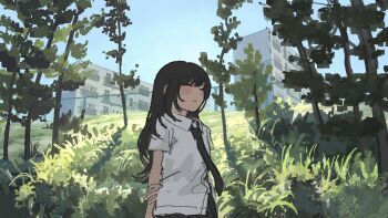 Post 12818176