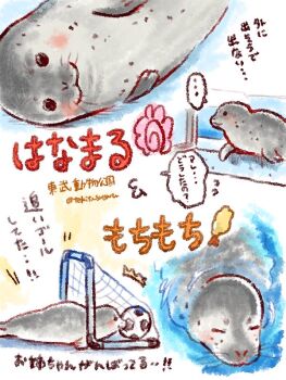 Post 11609268