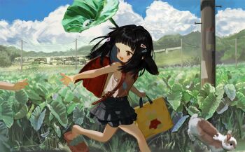 Post 14810960