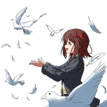 Post 11643034
