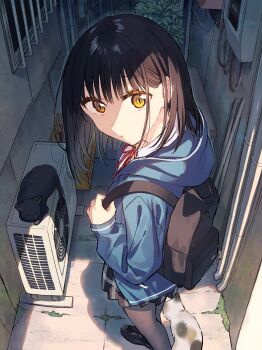 Post 10133054
