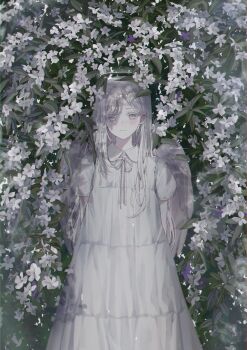 Post 14174997