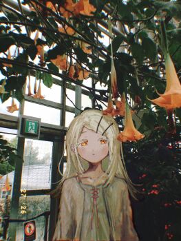 Post 14918061