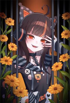 Post 14490645