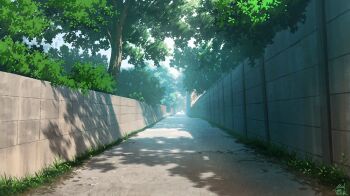 Post 14986264