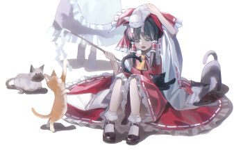 Post 14660752