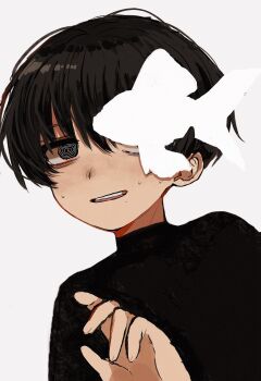 Post 11886845