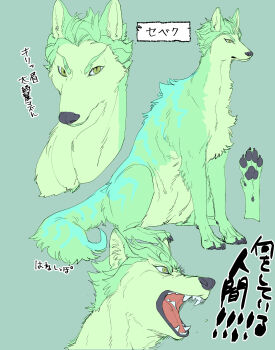 Post 13942324