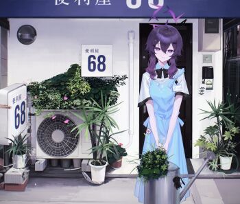 Post 12501331