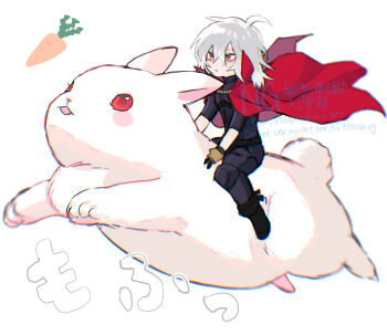 Post 14125549