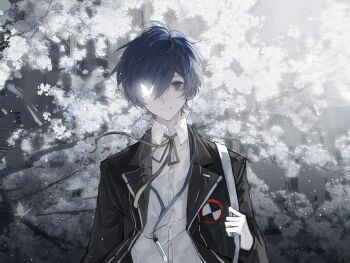 Post 14822637