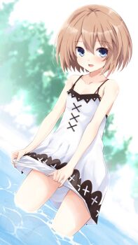 Post 7852001